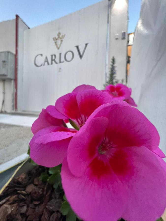 Carlo V - Holiday Rooms Porto Empedocle Exterior foto